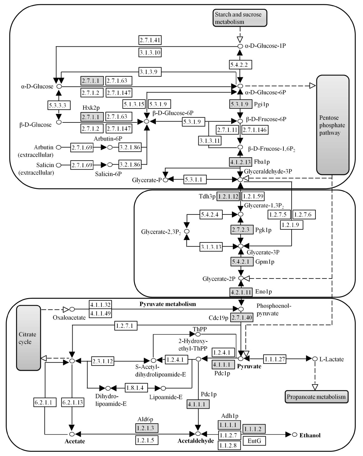 Schema electrique mascott 130