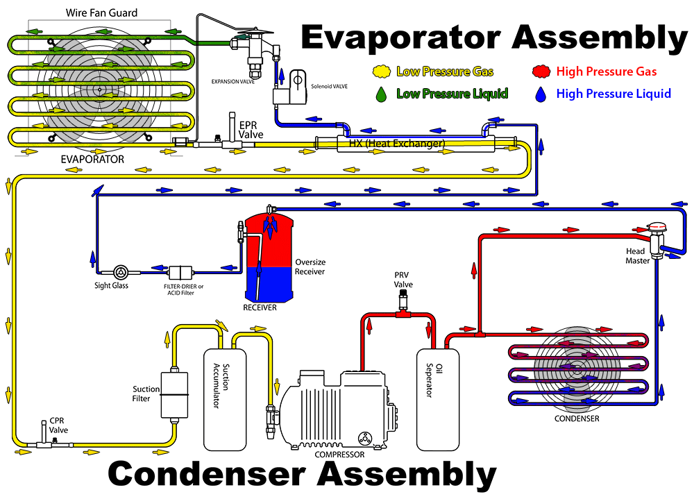 Animation schema electrique