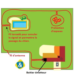 Schéma cloture electrique pour chien