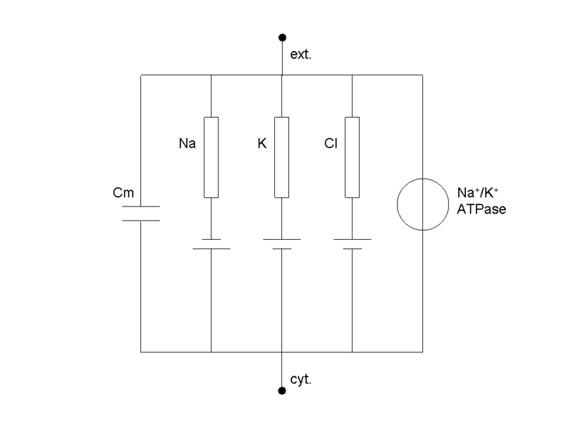 Schéma électrique équivalent