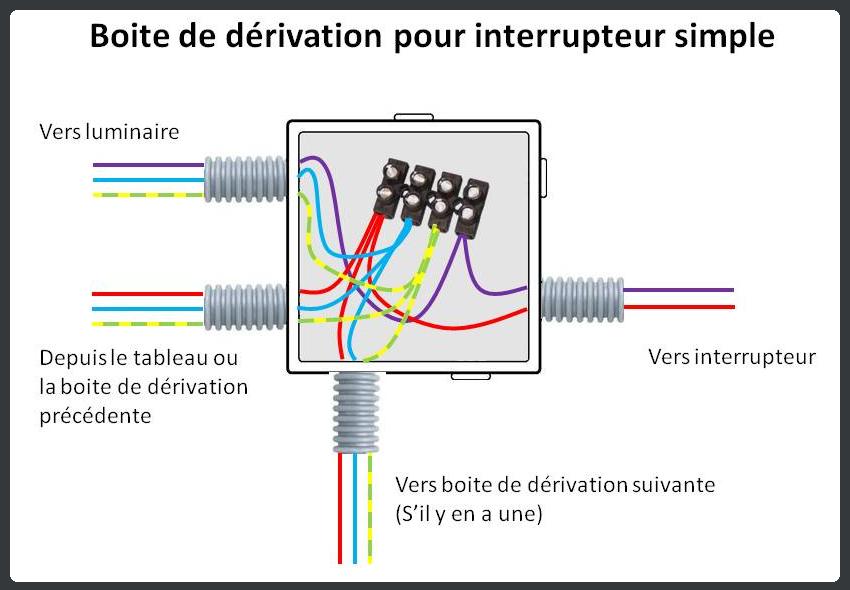 Schema electrique lustre