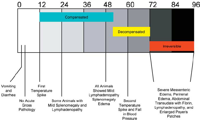 Schema electrique mini four seb