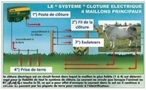 Schema cloture electrique 220v