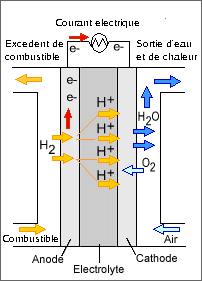 Schéma électrique membrane