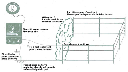 Schema electrique seat toledo