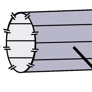 Schema electrique simple allumage deux lampes