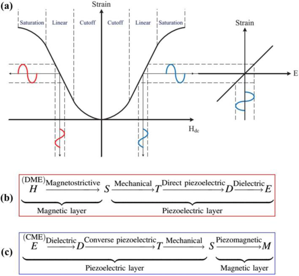 Schema electrique daelim s five