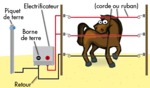 Schema de principe cloture electrique