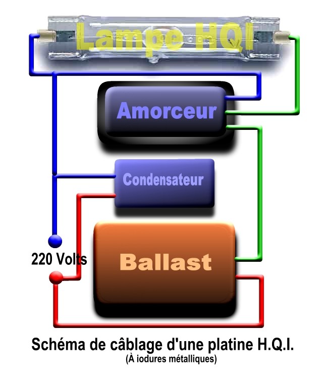 Schema electrique phase