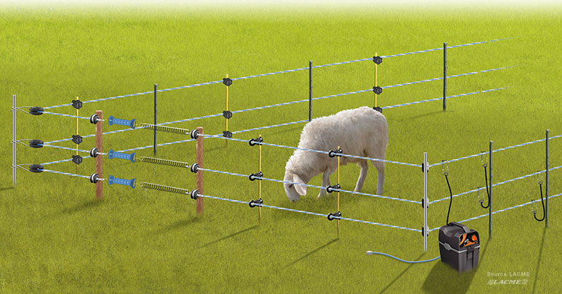 Schéma branchement cloture électrique