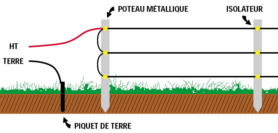 Schéma cloture electrique animaux