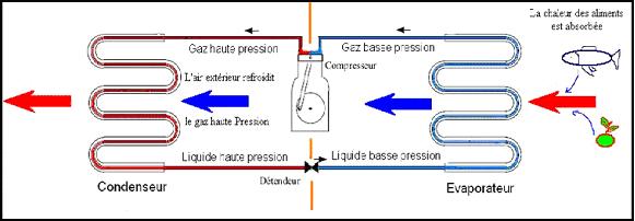 Schema electrique frigo congelateur