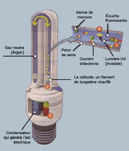 Schema electrique lampe uv