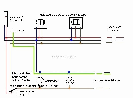 Schema electrique borne