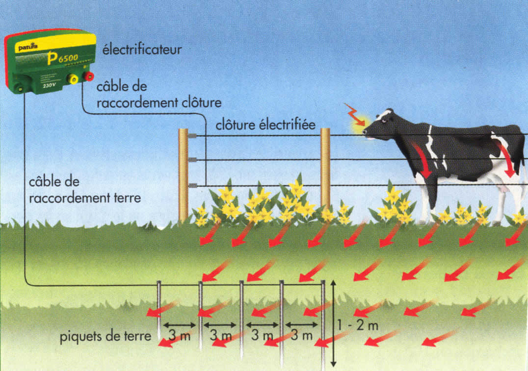 Schema de branchement cloture electrique