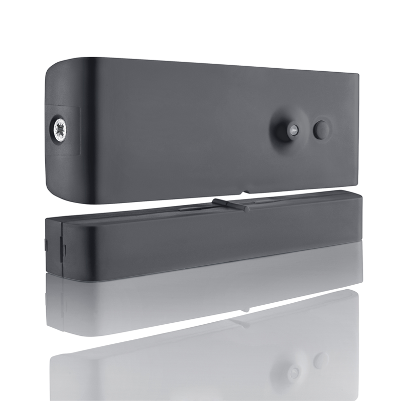 Detecteur ouverture porte de garage somfy