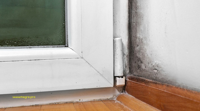 Condensation sur porte de garage