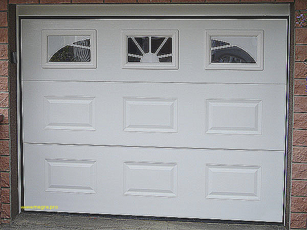 Porte de garage sectionnelle a hublot