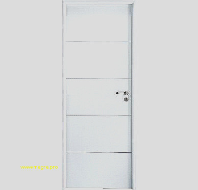 Porte de garage coulissante sainthimat