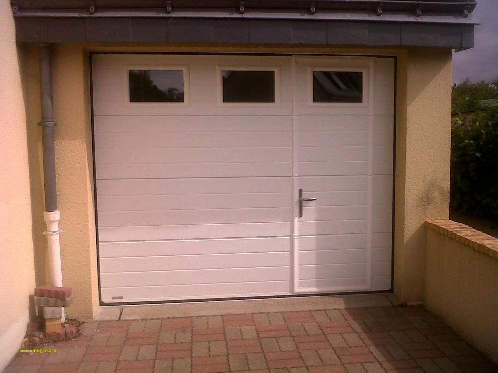 Decoration porte de garage