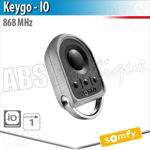 Moteur porte de garage somfy dexxo pro 1000