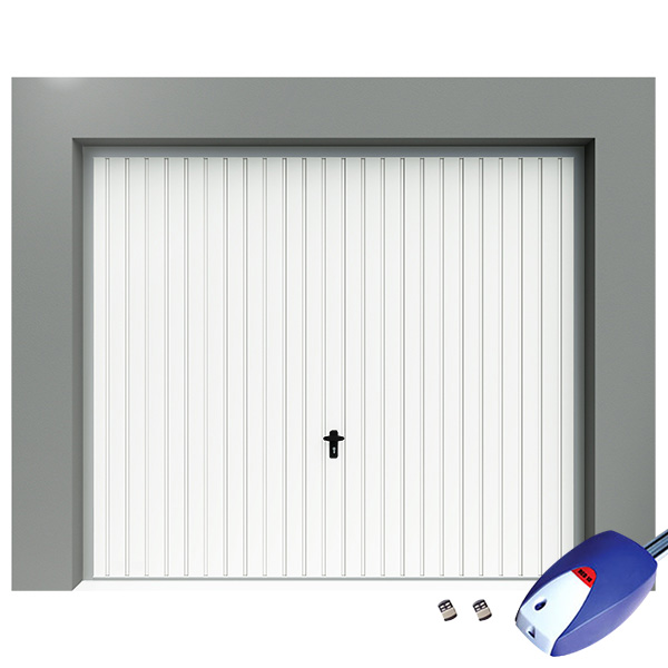 Fournisseur porte de garage basculante