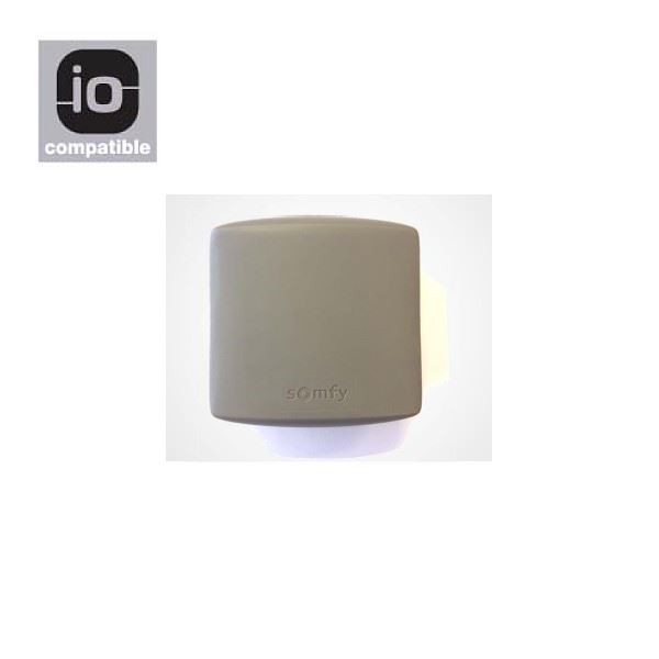 Porte de garage somfy io